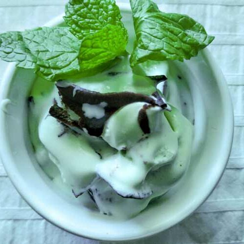 Mint with Dark Chocolate No-Churn Ice Cream
