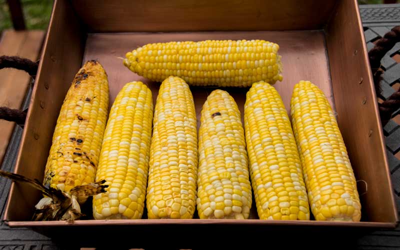Roasted Corn Test with All Corn