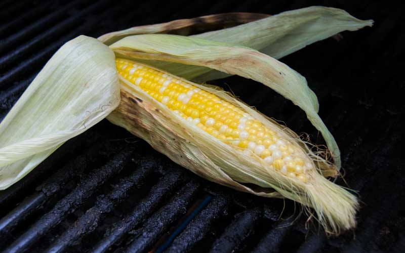 Corn on Grill
