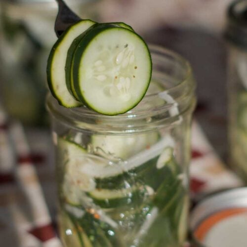 Garlicky Refrigerator Pickles