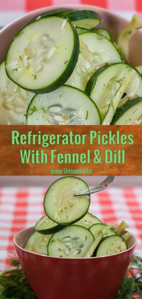 Refrigerator Pickle Fennel Dill Pinterest 2