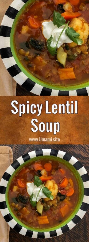 Spicy Lentil Soup Recipe Pinteres