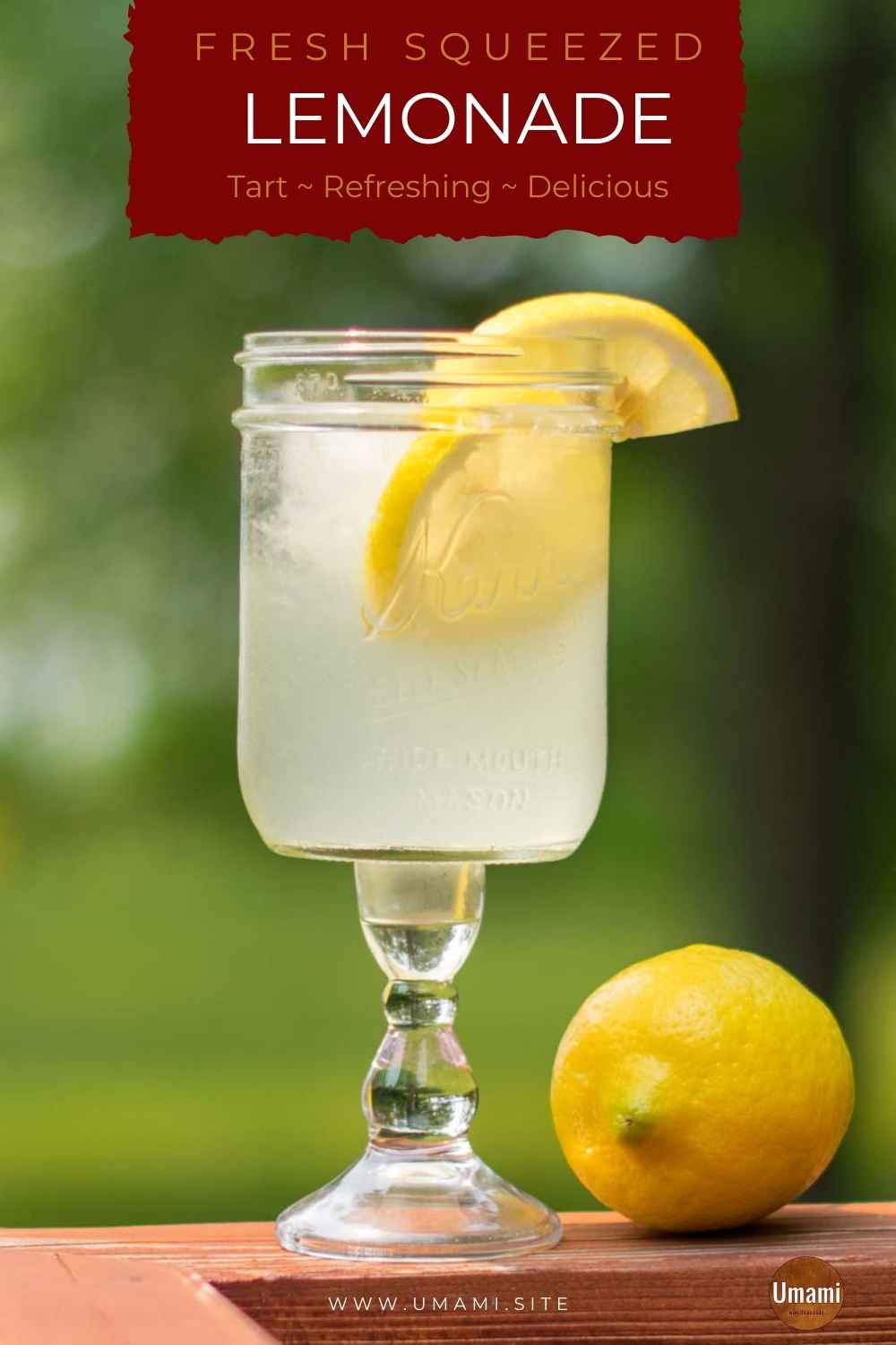 Smoked Chicken Legs Pinterest