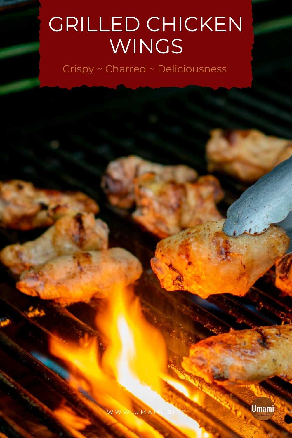 Smoked Chicken Legs Pinterest