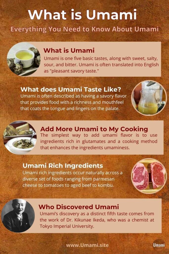 What Is Umami Infographic