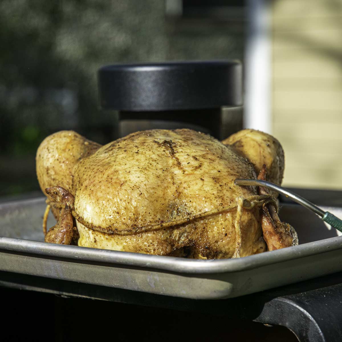 Smoking A Whole Chicken