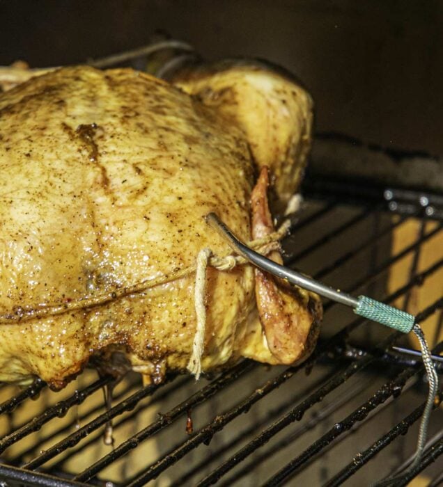 Smoking Chicken Meat Thermometer